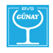 BVS Günay